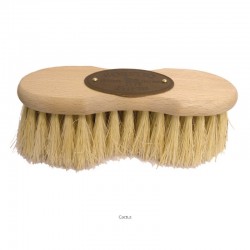 brosse infini cactus borstiq