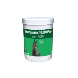 Glucosamine 10.000 + MSM 900g