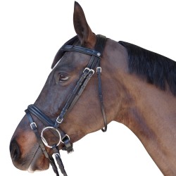 bridon euro pull back canter