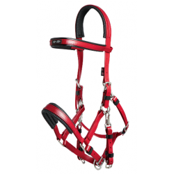 bridon/licol marathon zilco