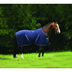 D chemise ecurie summer...